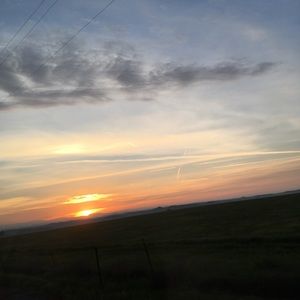 Meet your Posher, Lucy